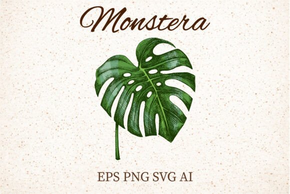 Monstera Leaf Clipart EPS AI SVG PNG